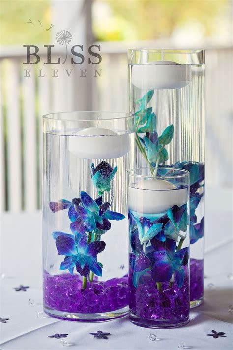 A Centerpiece Collection Of Amazing Underwater Blue Bomb Dendrobium