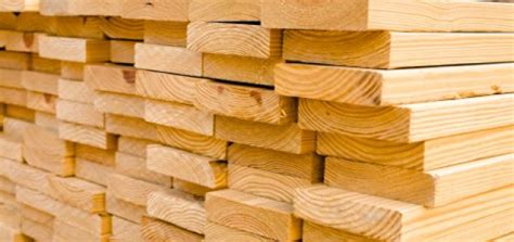 Terminology Lumber Vs Timber — Eximius Engineering Structural Engineers