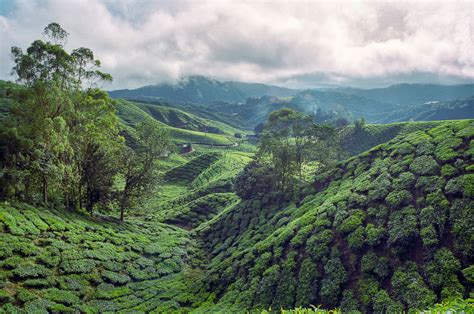 In meters per second (m/s) in kilometers per hour (km/h) in miles per hour (mph). Cameron Highlands, Tanah Rata, Malaysia - The stunning ...