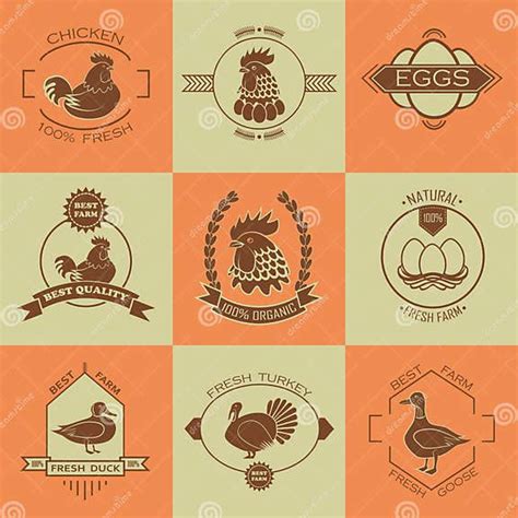 Set Of Poultry Farm Logo Emblem Chicken Turkey Stock Vector