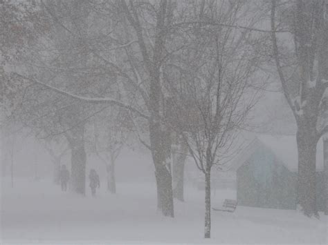 If you're already on the road, try to pull. Snow squall watch issued for neighbouring areas, including ...
