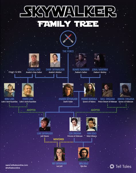 Written by:kristie bertucci last updated: Star Wars - Skywalker Family Tree Explained [Infographic ...