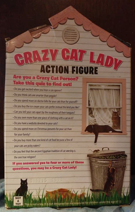 herbie s world of kitsch and toys 🐱 crazy cat lady action figure by archie mcphee 🐱