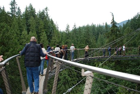Our North American Adventure Capilano Suspension Bridge Treetop