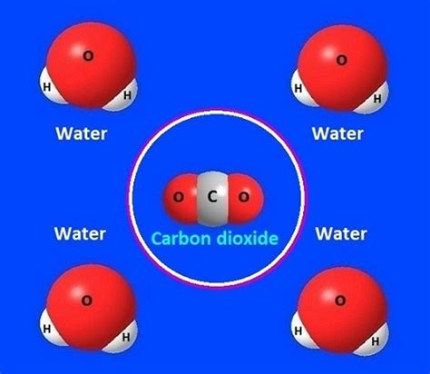 What Is The Important Role Of Carbon Dioxide In Water