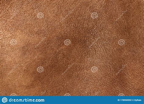 Brown Leather Of Wild Animal Texture Leather Background Brown Color