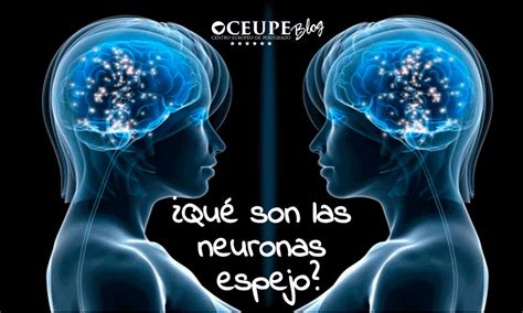 ¿qué Son Las Neuronas Espejos Importancia Y Ejemplos