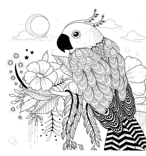 Ausmalbilder tiere erwachsene mandala zum ausdrucken. Pin von jo de auf Color | Mandala malvorlagen, Papagei zeichnung, Malvorlagen tiere