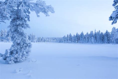 Frozen Landscape During Polar Night Stock Image Image Of Alaska
