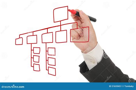 Businessman Drawing An Organization Chart Stock Image Image Of Draw