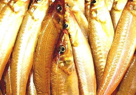 Japanese Whiting Kisu Fish