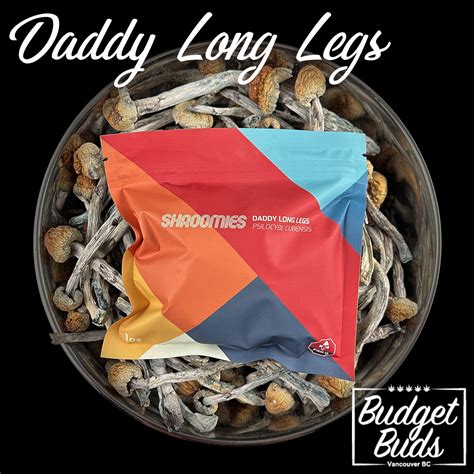 Daddy Long Legs Magic Mushrooms 1oz By Shroomies Budget Buds