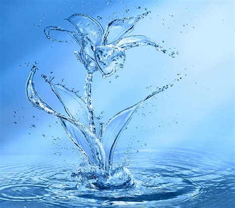 Aqua Flower Blue Drops Splash Water Hd Wallpaper Peakpx