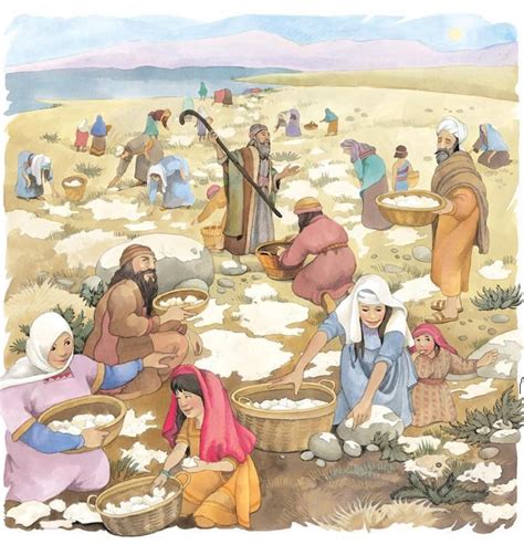 More Manna Bible Art Bible Pictures Bible Illustrations