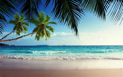 Emerald Sea Paradise Sunshine Beach Wallpaper 2560x1600