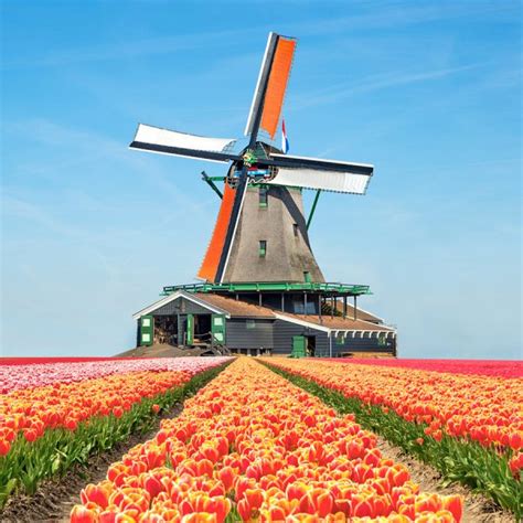Theo dự kiến, uefa euro lần thứ 16 sẽ rơi vào năm 2020. Tour Du lịch Châu Âu dịp lễ hội hoa Tulip - Keukenhof 2021