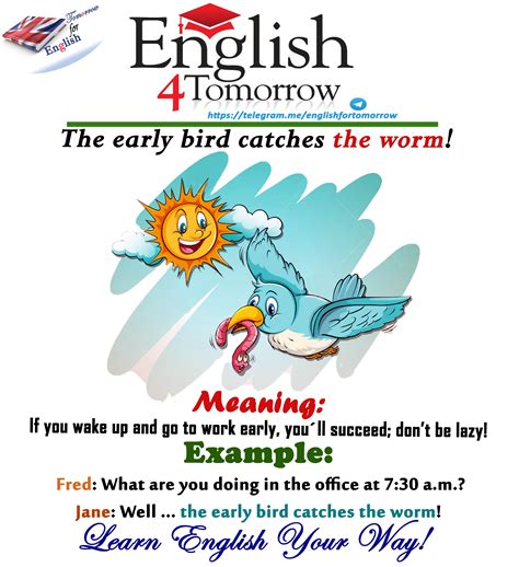 English Idiom The Early Bird Catches The Worm