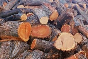 Maybe you would like to learn more about one of these? Find excellent Firewood in Tucson right here at Branching ...