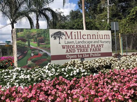 1281 s missouri ave, clearwater, fl 33756. Residential and Commercial Landscape Design Company Pasco County FL | Maintenance | Sod ...