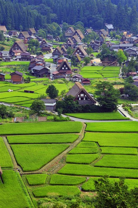 Solo Travel Through Japan’s Three-star Road