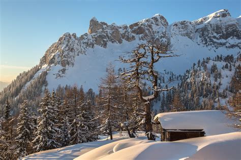 Hd Wallpaper Austria Alps Mountain Snow Winter Forest House Torsten