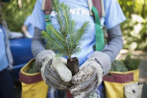 How to start a nonprofit. How to Start an Endowment for Your Nonprofit