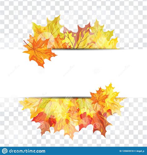 Maple Leaves On Transparency Grid Stock Vector Illustration Of Orange