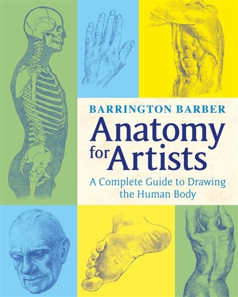 Anatomy For Artists The Complete Guide To Drawing The Human Body E