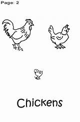 Coloring Chicken Book Preschoolers Chickens Preschool sketch template