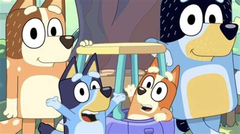 Bluey Episodes Ranked From Worst To Best And The One That Will Make You
