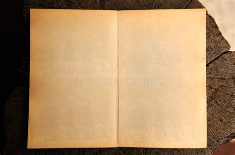 18399 Libro Abierto Viejo Con Las Paginaciones En Blanco Aisladas