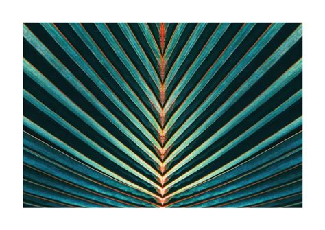 Tropical Palm Leaf Art Print Studioandme