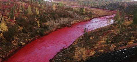 Russias Norilsk Nickel Says Siberian River Turned Red By Waste Ctv News