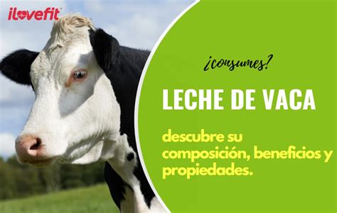 Leche de vaca Tipos composición y beneficios iLoveFit