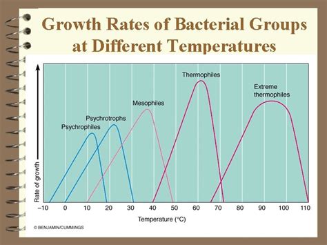 Chapter 6 Microbial Growth Microbial Growth 4 Refers