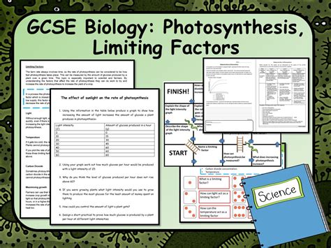 KS AQA Biology Science Limiting Factors Of Photosynthesis Lesson Teaching Resources