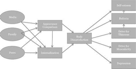 Figure 1 From Exploring The Tripartite Influence Model Of Body