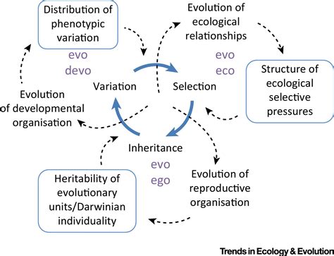 How Can Evolution Learn Trends In Ecology And Evolution