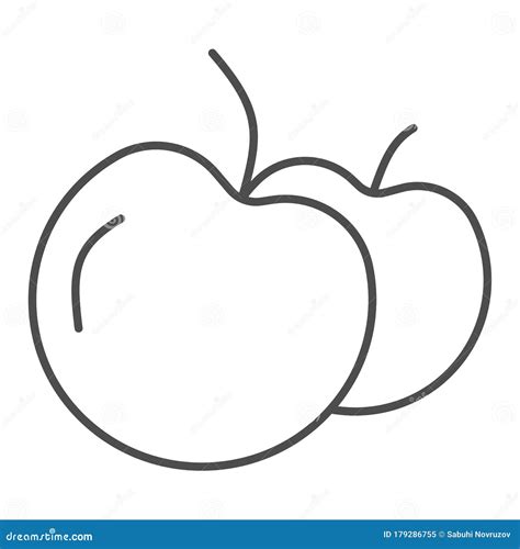 Apples Thin Line Icon Two Apples Symbol Illustration Isolated On White