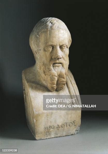 Bust Of Herodotus Of Halicarnassus Greek Historian Marble