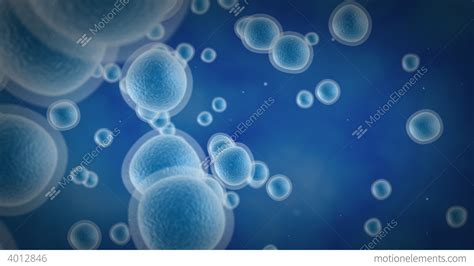 Blue Cells Science Background Stock Animation 4012846
