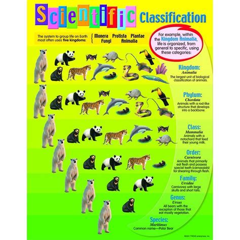 Animal kingdom classification project is ideal as … seen 181 times. CHART SCIENTIFIC CLASSIFICATION | Animal classification ...
