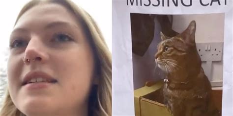 Woman Discovers Neighbour Tried To Steal Her Cat With Fake Missing Posters Indy100