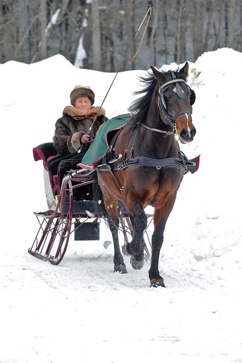 Winterfest At Old Sturbridge Village Pretty Horses