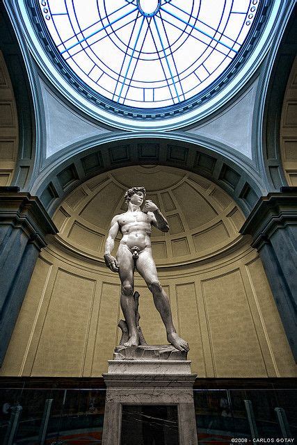 Michelangelos David 1504 Carrara Marble Florence Galleria Dell