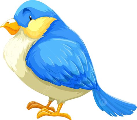 Blue Bird Animals Living Wallpaper Vector Animals Living Wallpaper