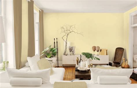 Interior Paint Interior Paint Colors For House Painting Tipscolor