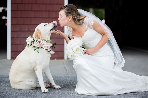 Gorgeous Bride Gives Her Dog A Kiss On Her Wedding Day Wedding Photos