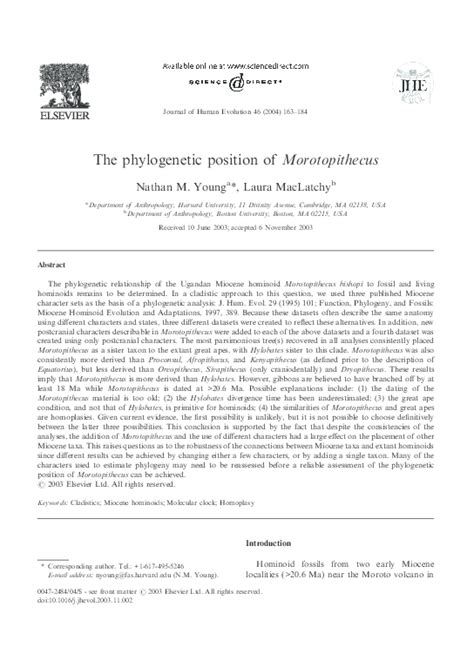 Pdf The Phylogenetic Position Of Morotopithecus Laura Maclatchy And