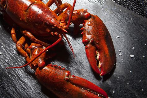 Annakin slayd has grown accustomed to providing the soundtrack for the canadiens' playoff runs. Homard. Crustacé. Produit de la mer. Le Patio Rive Gauche ...